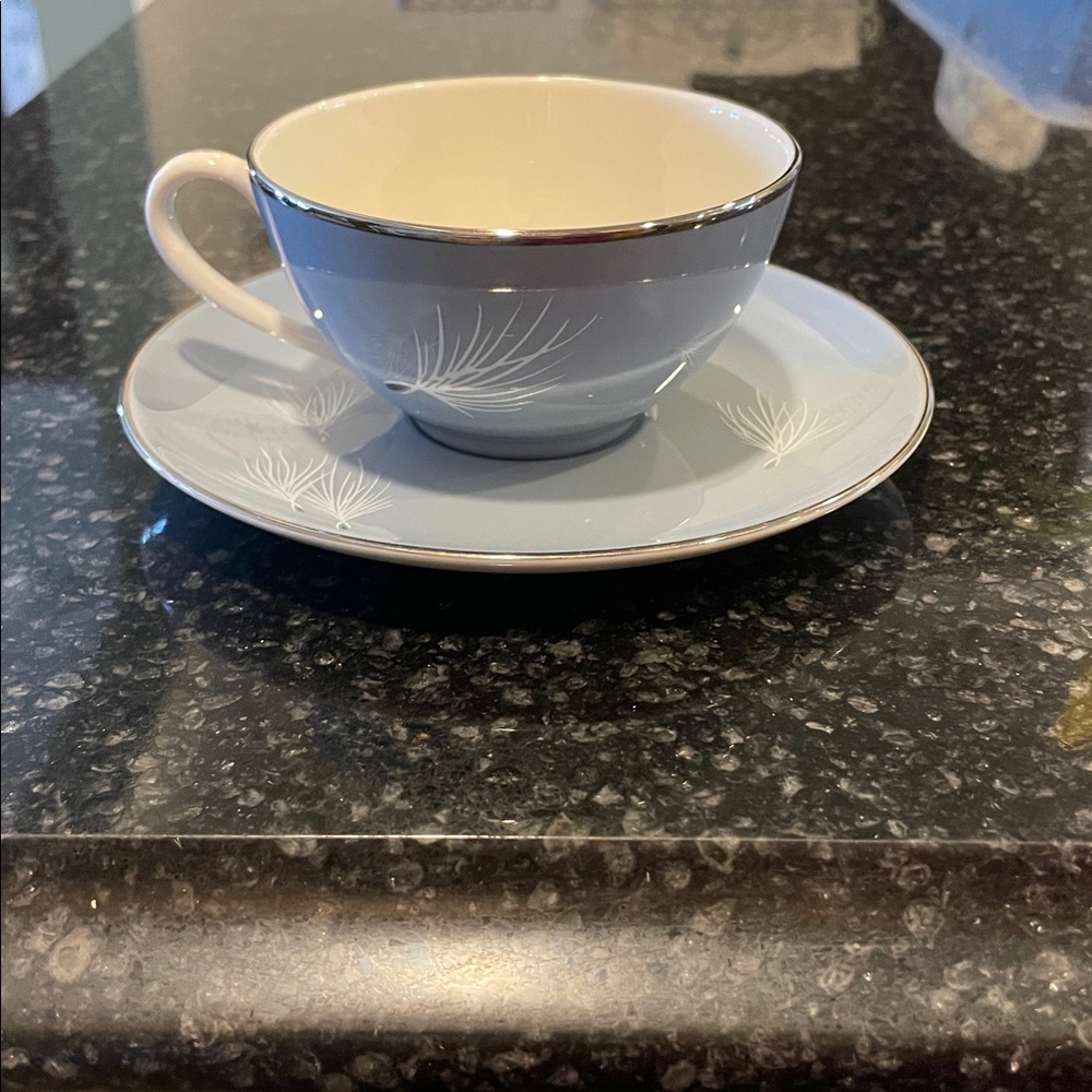 Vintage lt. Blue PICKARD Porcelain Teacup and Saucer “blue sky’s”